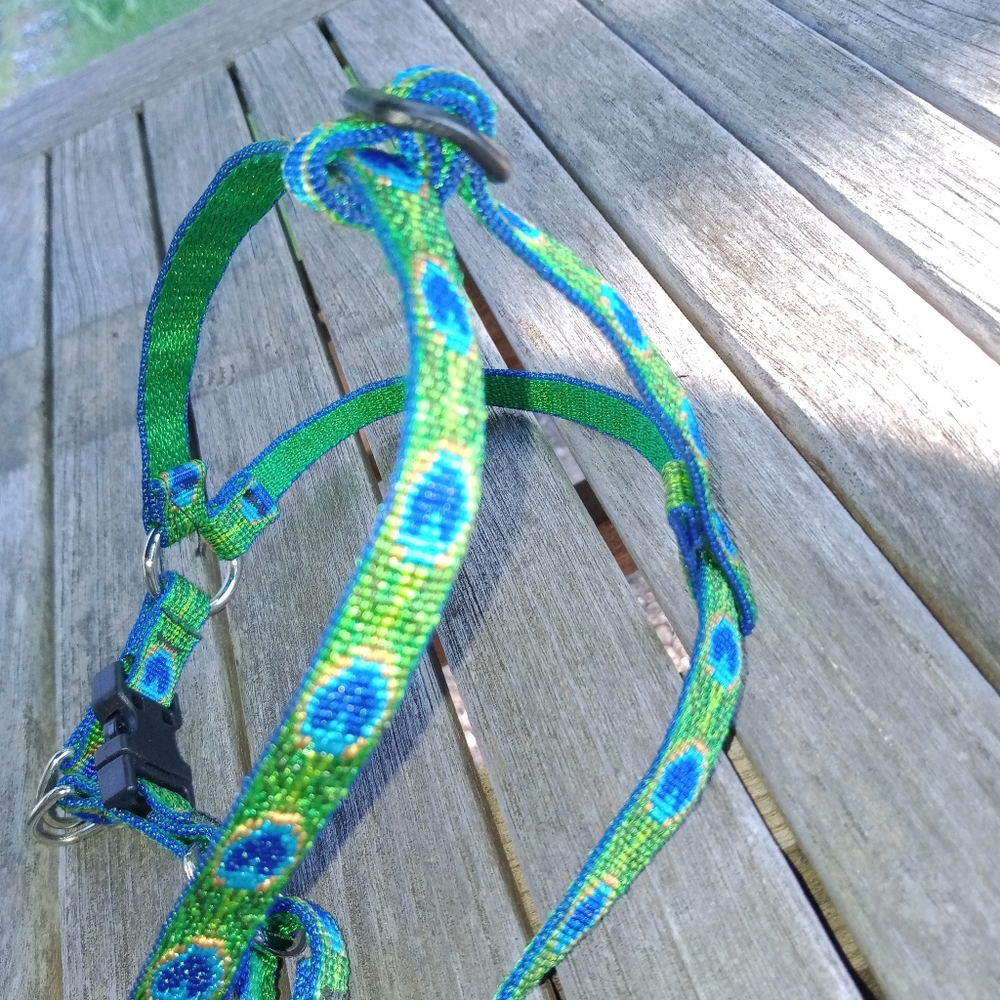 Lupine step in dog harness